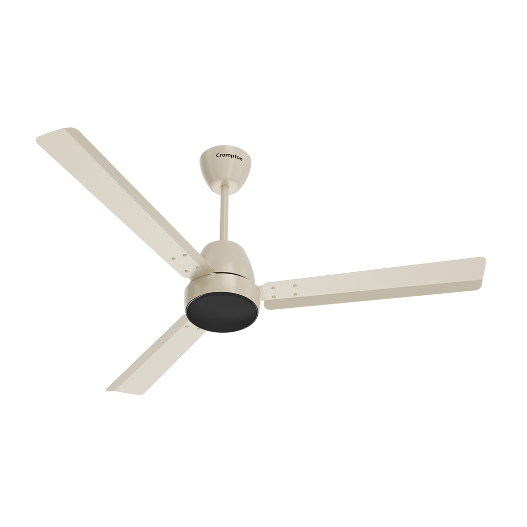 CROMPTON EN NUCLEOID 48 5S