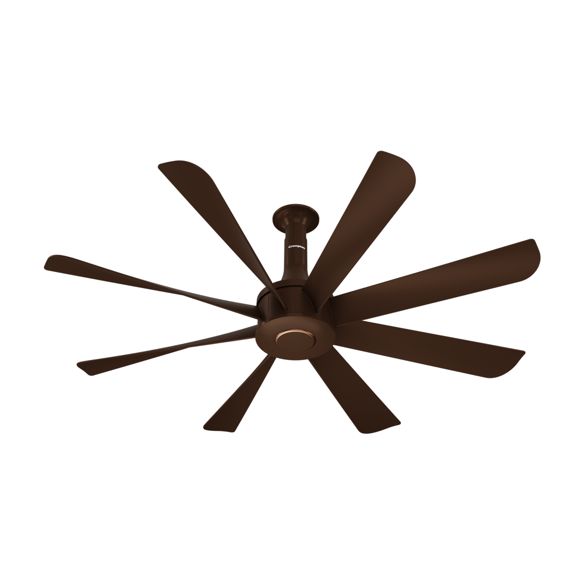 CROMPTON LX Statement Senze