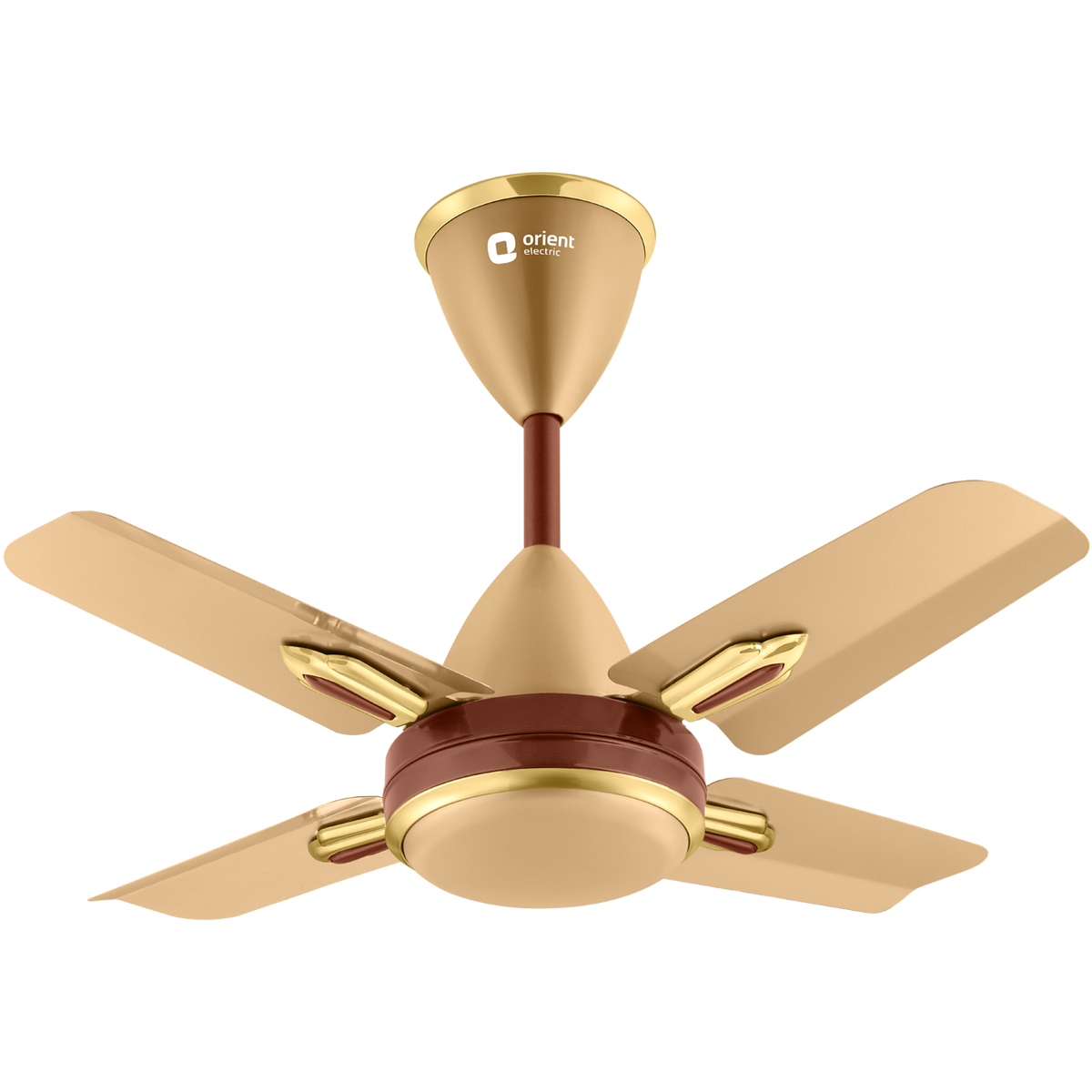 ORIENT ELECTRIC Quasar Ornamental