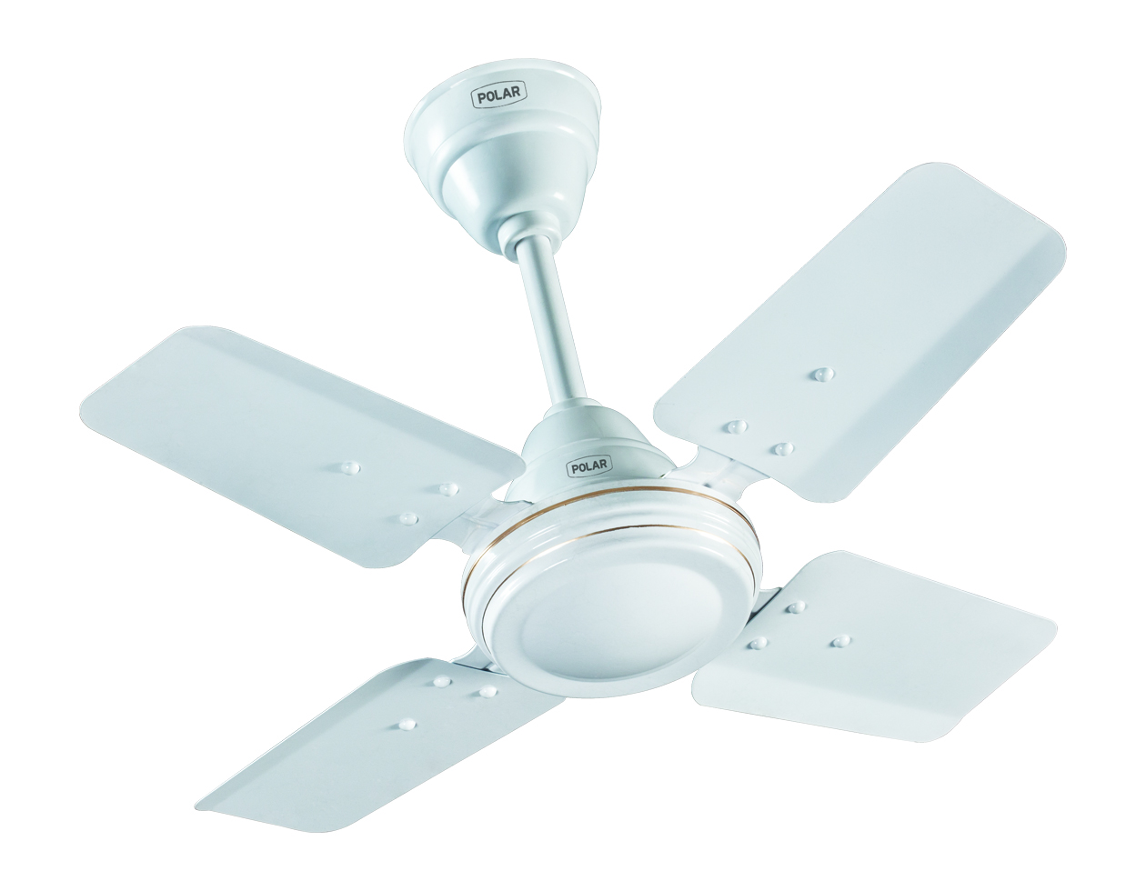 POLAR SUPER SPEED 24